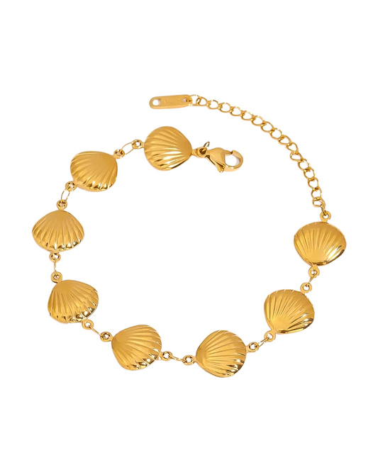 Shell Bracelet